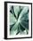 Green Tropical Succulent III-Irena Orlov-Framed Photographic Print