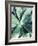 Green Tropical Succulent III-Irena Orlov-Framed Photographic Print