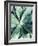 Green Tropical Succulent III-Irena Orlov-Framed Photographic Print