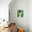 Green Tropical Succulent IV-Irena Orlov-Photographic Print displayed on a wall