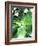 Green Tropical Succulent IV-Irena Orlov-Framed Photographic Print