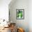 Green Tropical Succulent IV-Irena Orlov-Framed Photographic Print displayed on a wall