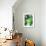 Green Tropical Succulent IV-Irena Orlov-Framed Photographic Print displayed on a wall