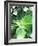 Green Tropical Succulent IV-Irena Orlov-Framed Photographic Print