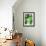 Green Tropical Succulent IV-Irena Orlov-Framed Photographic Print displayed on a wall