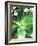 Green Tropical Succulent IV-Irena Orlov-Framed Photographic Print