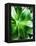 Green Tropical Succulent V-Irena Orlov-Framed Premier Image Canvas