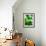 Green Tropical Succulent V-Irena Orlov-Framed Photographic Print displayed on a wall