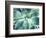 Green Tropical Succulent VII-Irena Orlov-Framed Photographic Print