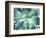 Green Tropical Succulent VII-Irena Orlov-Framed Photographic Print