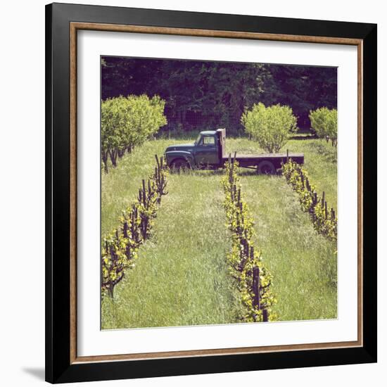 Green Truck-Lance Kuehne-Framed Photographic Print