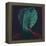 Green Turban-Lincoln Seligman-Framed Premier Image Canvas