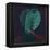 Green Turban-Lincoln Seligman-Framed Premier Image Canvas