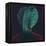 Green Turban-Lincoln Seligman-Framed Premier Image Canvas