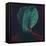 Green Turban-Lincoln Seligman-Framed Premier Image Canvas