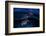 Green Turtle at Sunset-Barathieu Gabriel-Framed Photographic Print