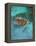 Green Turtle, Bocas Del Torro Island, Panama-Gavriel Jecan-Framed Premier Image Canvas