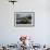 Green Turtle (Chelonia Mydas) Resting in the Shallows of the Coast, Bijagos Islands, Guinea Bissau-Pedro Narra-Framed Photographic Print displayed on a wall