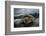 Green Turtle (Chelonia Mydas) Resting in the Shallows of the Coast, Bijagos Islands, Guinea Bissau-Pedro Narra-Framed Photographic Print