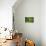 Green Vertically-Philippe Sainte-Laudy-Photographic Print displayed on a wall