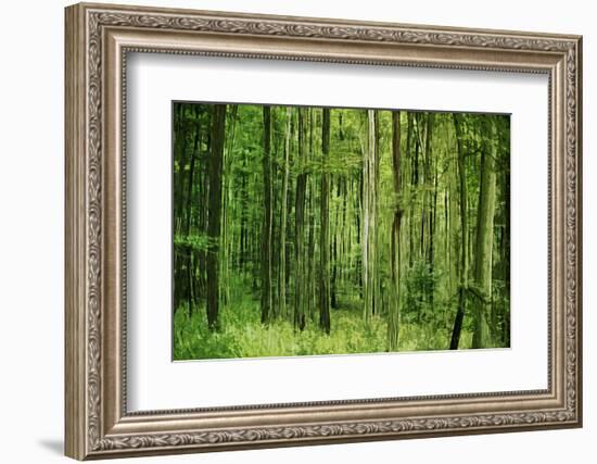 Green Vertically-Philippe Sainte-Laudy-Framed Photographic Print