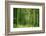 Green Vertically-Philippe Sainte-Laudy-Framed Photographic Print