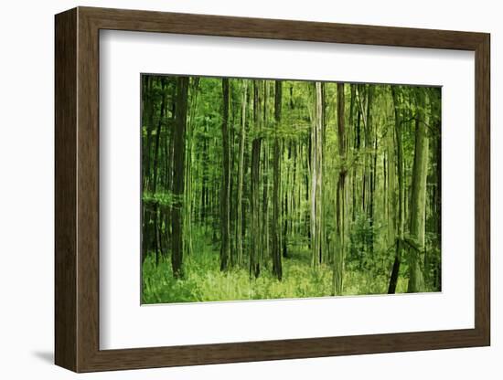 Green Vertically-Philippe Sainte-Laudy-Framed Photographic Print