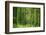 Green Vertically-Philippe Sainte-Laudy-Framed Photographic Print