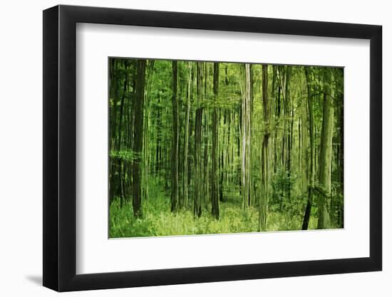 Green Vertically-Philippe Sainte-Laudy-Framed Photographic Print