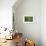 Green Vertically-Philippe Sainte-Laudy-Framed Photographic Print displayed on a wall