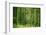 Green Vertically-Philippe Sainte-Laudy-Framed Photographic Print