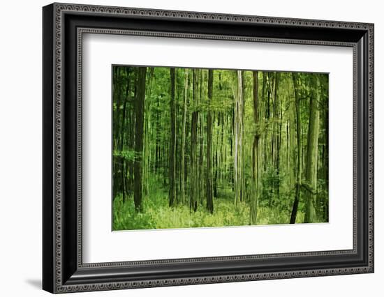 Green Vertically-Philippe Sainte-Laudy-Framed Photographic Print