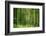 Green Vertically-Philippe Sainte-Laudy-Framed Photographic Print