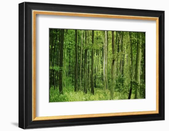 Green Vertically-Philippe Sainte-Laudy-Framed Photographic Print