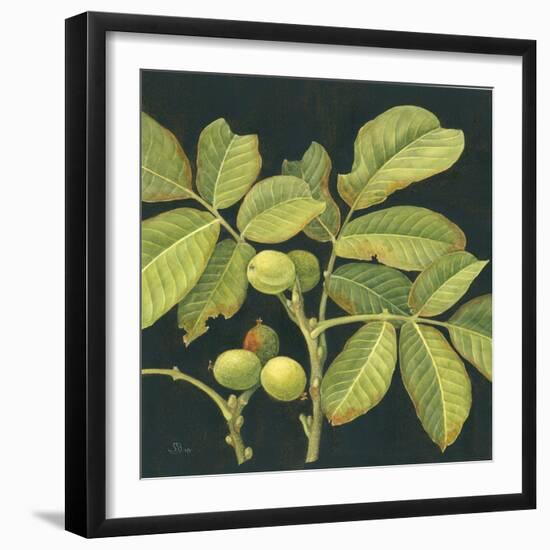 Green Walnut-Jenny Barron-Framed Giclee Print
