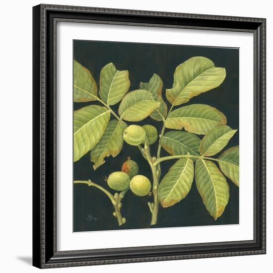 Green Walnut-Jenny Barron-Framed Giclee Print