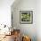 Green Walnut-Jenny Barron-Framed Giclee Print displayed on a wall