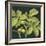 Green Walnut-Jenny Barron-Framed Giclee Print