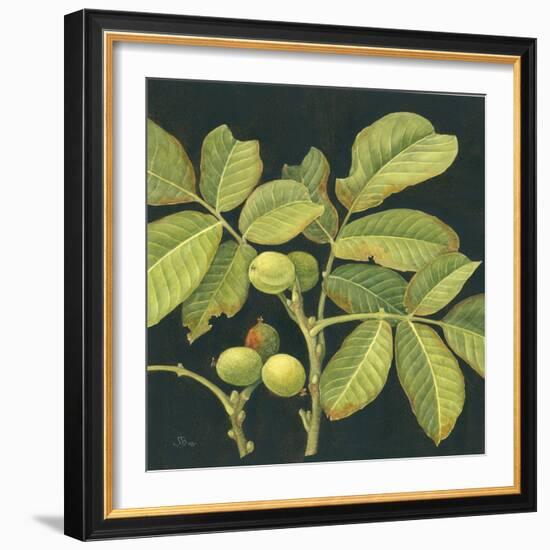 Green Walnut-Jenny Barron-Framed Giclee Print