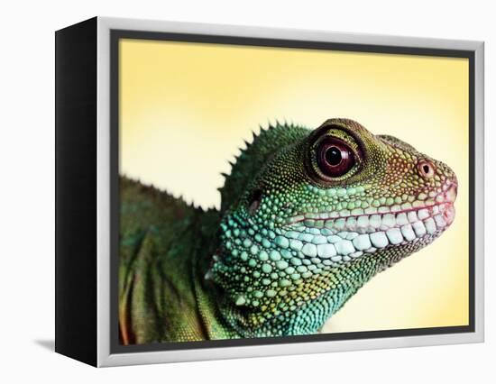 Green Water Dragon-null-Framed Premier Image Canvas