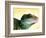 Green Water Dragon-null-Framed Photographic Print