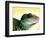 Green Water Dragon-null-Framed Photographic Print