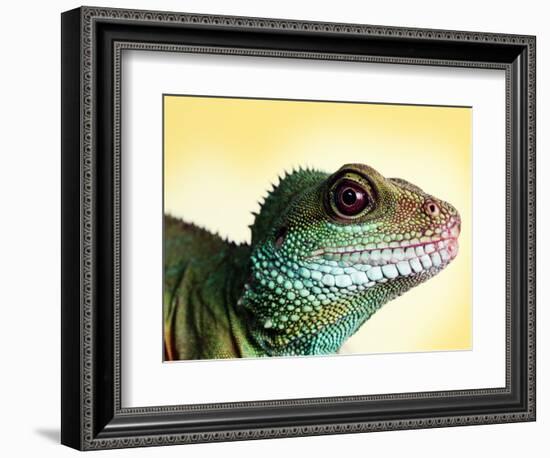 Green Water Dragon-null-Framed Photographic Print