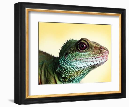 Green Water Dragon-null-Framed Photographic Print