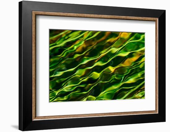 Green Water-Ursula Abresch-Framed Photographic Print