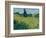 Green Wheat, 1889-Vincent van Gogh-Framed Giclee Print