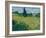 Green Wheat, 1889-Vincent van Gogh-Framed Giclee Print