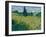 Green Wheat, 1889-Vincent van Gogh-Framed Giclee Print