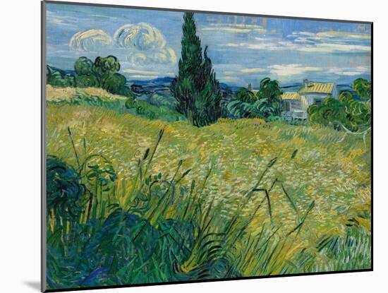 Green Wheat, 1889-Vincent van Gogh-Mounted Giclee Print