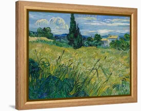 Green Wheat, 1889-Vincent van Gogh-Framed Premier Image Canvas